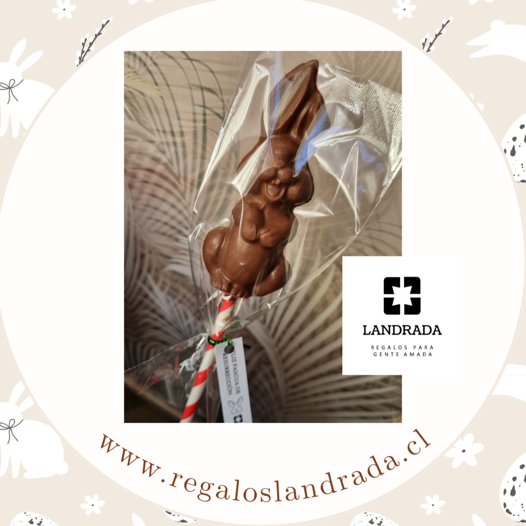 Paleta grande de conejo largo
